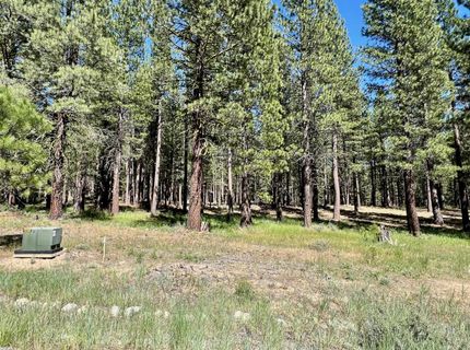 1855 Valley Ranch Drive, Clio, CA 96106 Photo