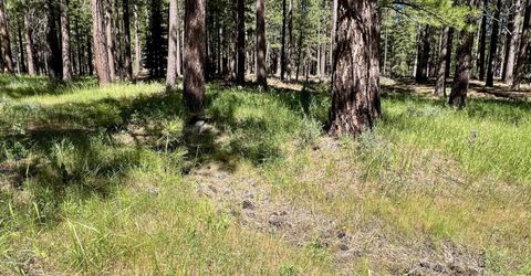 1855 Valley Ranch Drive, Clio, CA 96106 Photo