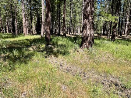 1855 Valley Ranch Drive, Clio, CA 96106 Photo