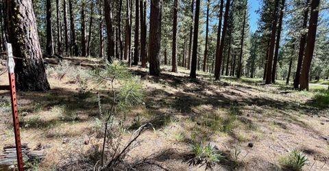 1855 Valley Ranch Drive, Clio, CA 96106 Photo