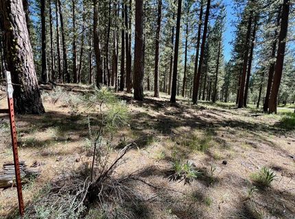 1855 Valley Ranch Drive, Clio, CA 96106 Photo