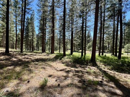 1855 Valley Ranch Drive, Clio, CA 96106 Photo
