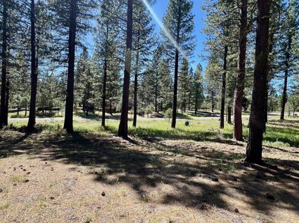 1855 Valley Ranch Drive, Clio, CA 96106 Photo