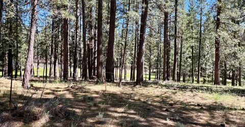 1855 Valley Ranch Drive, Clio, CA 96106 Photo