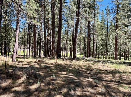 1855 Valley Ranch Drive, Clio, CA 96106 Photo