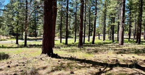 1855 Valley Ranch Drive, Clio, CA 96106 Photo