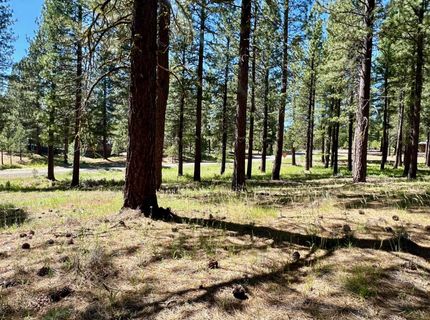 1855 Valley Ranch Drive, Clio, CA 96106 Photo