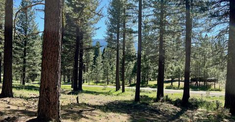 1855 Valley Ranch Drive, Clio, CA 96106 Photo