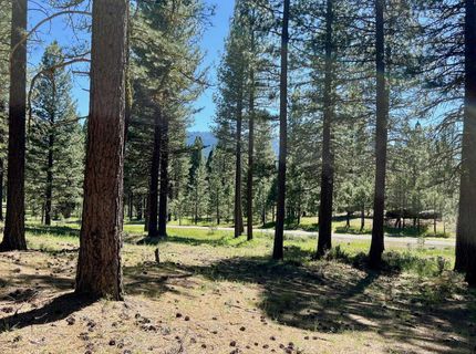 1855 Valley Ranch Drive, Clio, CA 96106 Photo