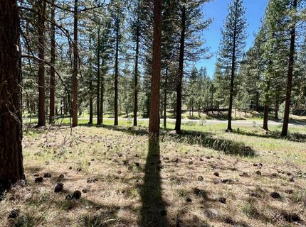 1855 Valley Ranch Drive, Clio, CA 96106 Photo