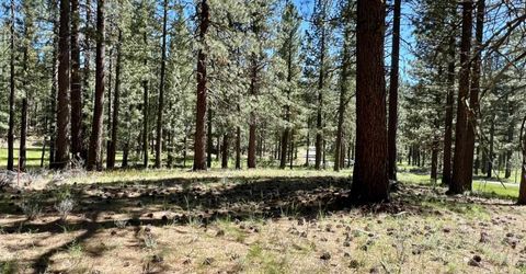 1855 Valley Ranch Drive, Clio, CA 96106 Photo