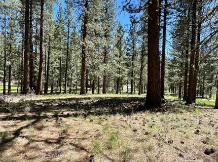 1855 Valley Ranch Drive, Clio, CA 96106 Photo
