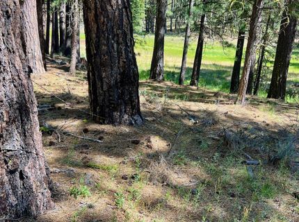 1855 Valley Ranch Drive, Clio, CA 96106 Photo
