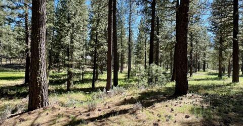 1855 Valley Ranch Drive, Clio, CA 96106 Photo