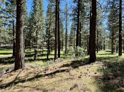 1855 Valley Ranch Drive, Clio, CA 96106 Photo
