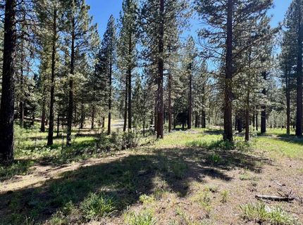 1855 Valley Ranch Drive, Clio, CA 96106 Photo