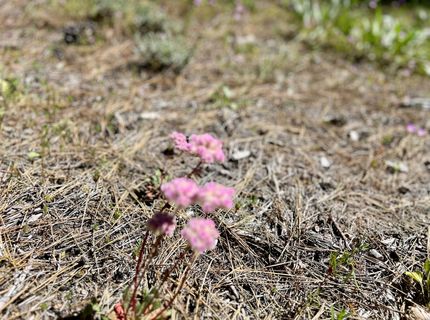 1855 Valley Ranch Drive, Clio, CA 96106 Photo