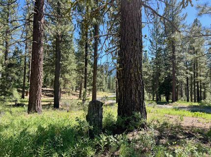 1855 Valley Ranch Drive, Clio, CA 96106 Photo