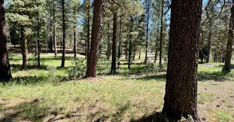 1855 Valley Ranch Drive, Clio, CA 96106 Photo