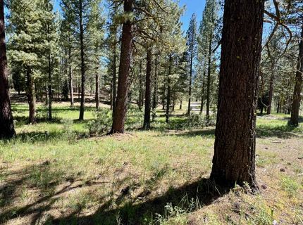 1855 Valley Ranch Drive, Clio, CA 96106 Photo