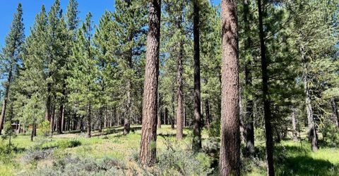 1855 Valley Ranch Drive, Clio, CA 96106 Photo