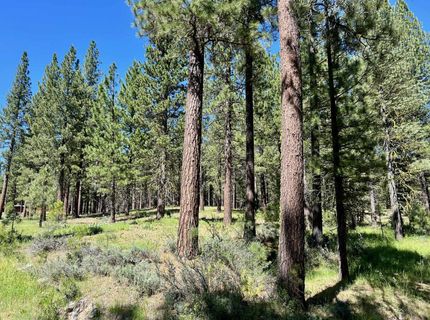 1855 Valley Ranch Drive, Clio, CA 96106 Photo