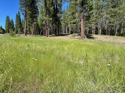 1855 Valley Ranch Drive, Clio, CA 96106 Photo