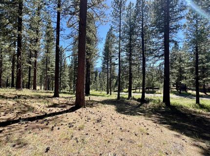 1855 Valley Ranch Drive, Clio, CA 96106 Photo