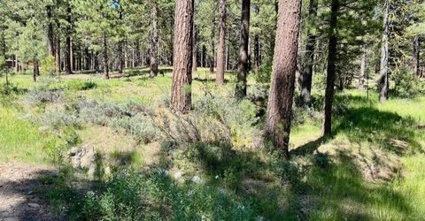1855 Valley Ranch Drive, Clio, CA 96106 Photo