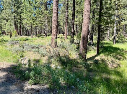 1855 Valley Ranch Drive, Clio, CA 96106 Photo