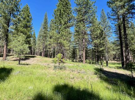 1855 Valley Ranch Drive, Clio, CA 96106 Photo