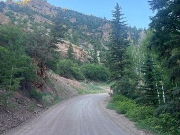 TBD 58P Road, Placerville, CO 81430