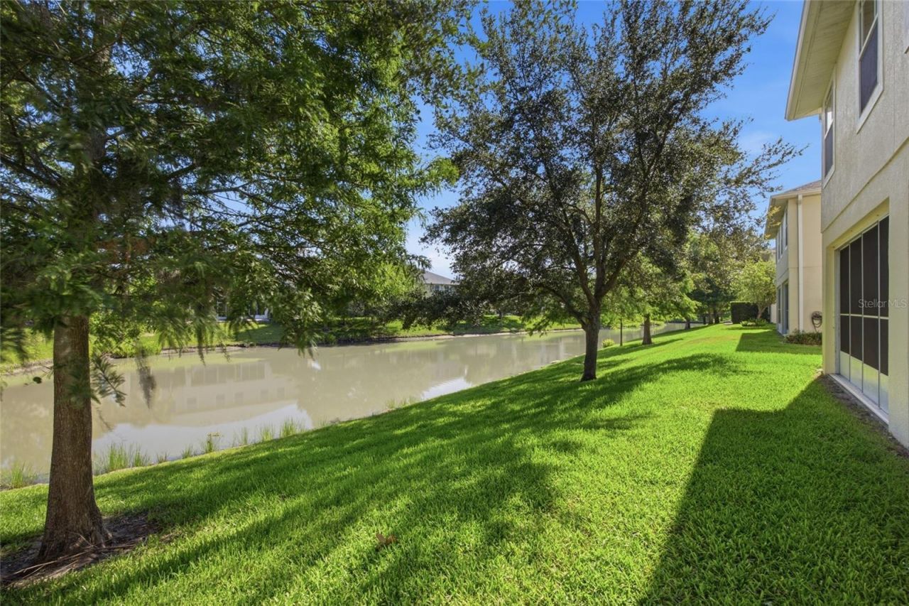 485 Harbor Ridge Drive, Palm Harbor, FL 34683 Photo