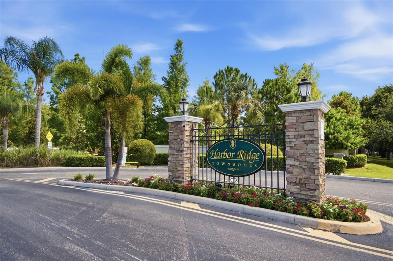 485 Harbor Ridge Drive, Palm Harbor, FL 34683 Photo