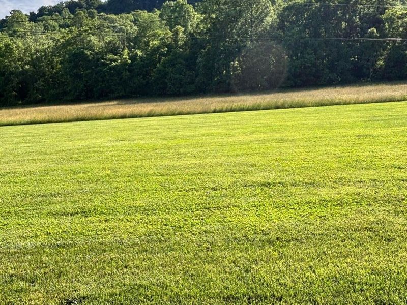 10635 Old River Road, McConnelsville, OH 43756 Photo 45
