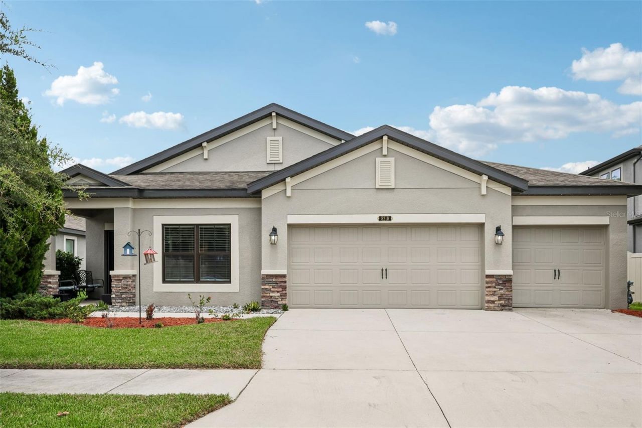 8210 Mallow Mirror Lane, Land O Lakes, FL 34637 Main Photo