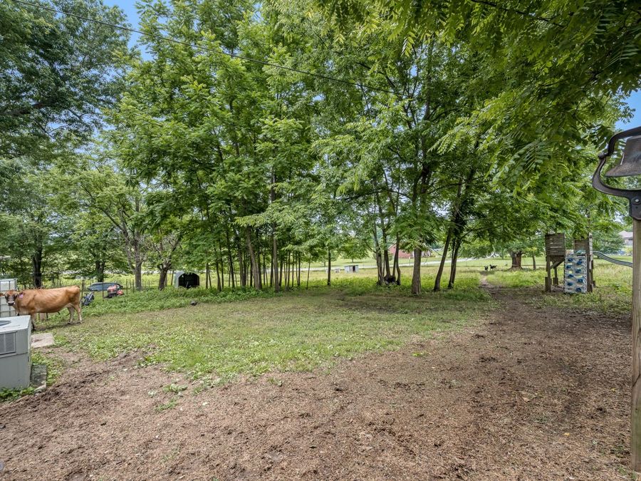 Property Image 53