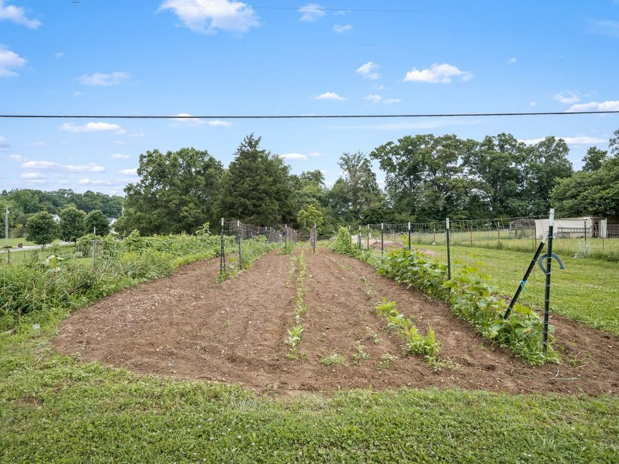 Property Image 63