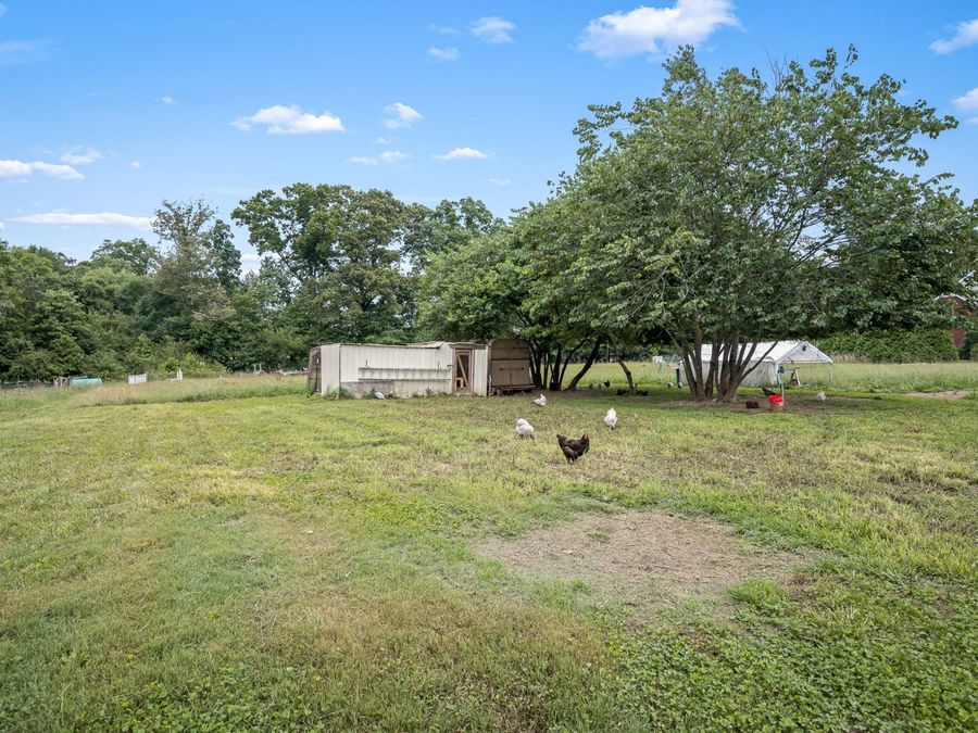 Property Image 65