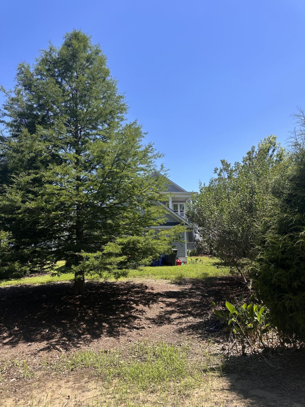3582 Backshore Drive Photo 58