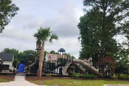 1152 Fiddlehead Way  photo 4
