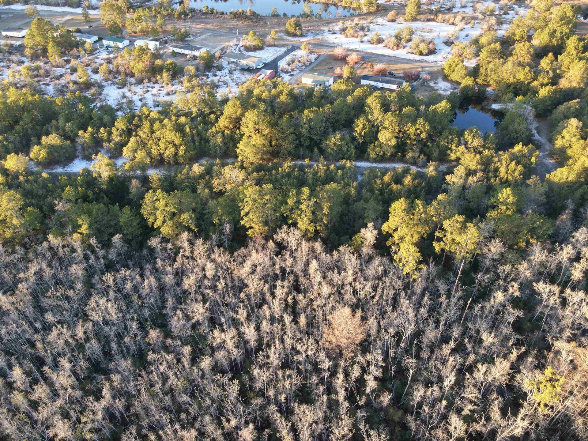 Tbd8 Francis Marion Dr. Photo 21