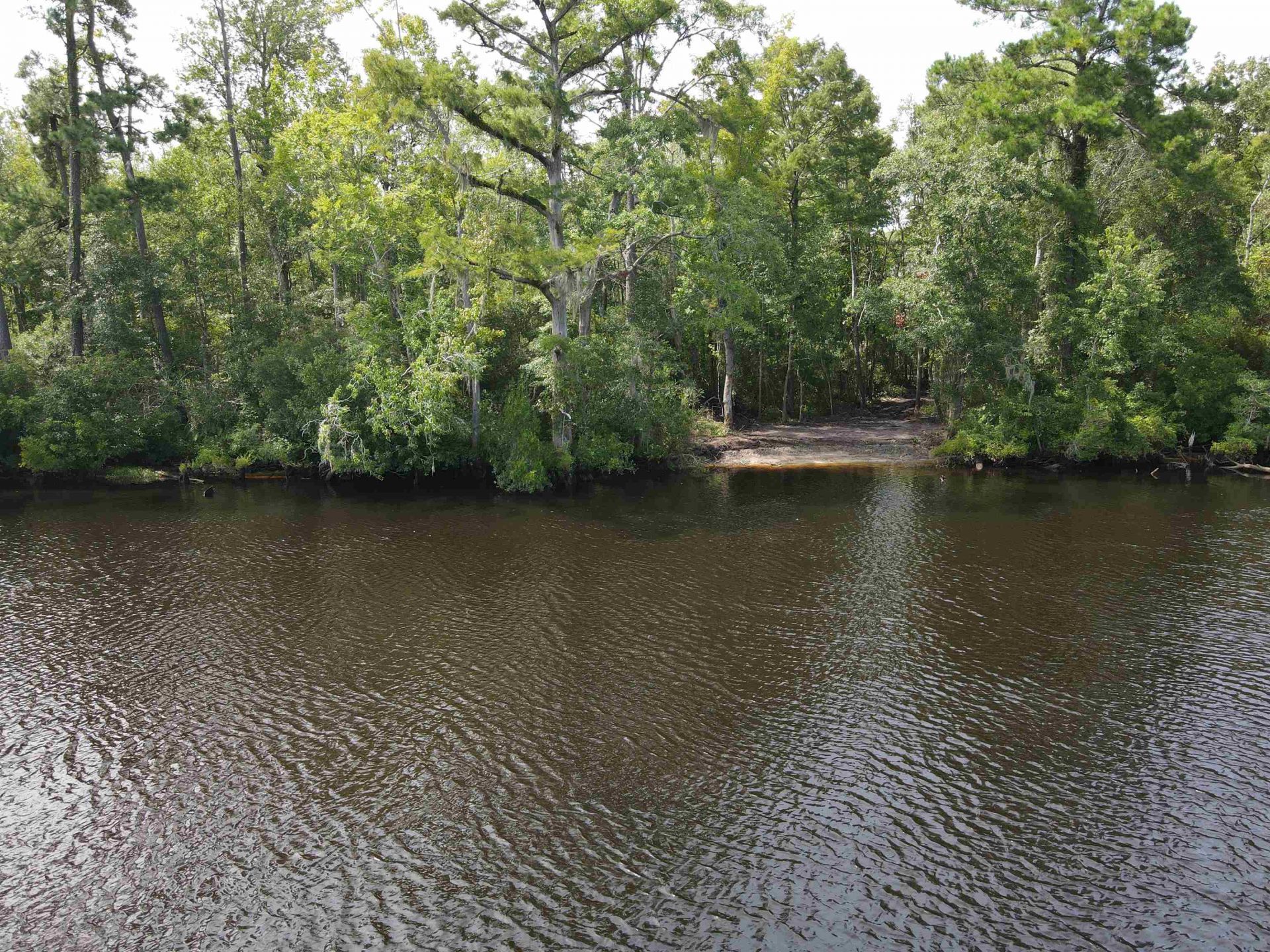 Tbd8 Francis Marion Dr. Photo 28