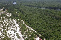 Tbd7 Francis Marion Dr.  photo 4