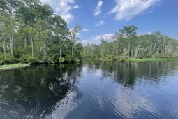 Tbd5 Francis Marion Dr.  photo 4