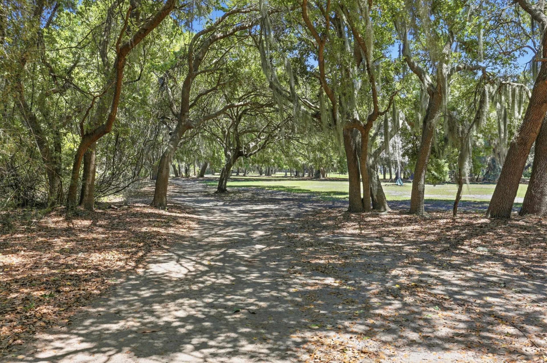 Lot 4 Josie Way  Photo 10