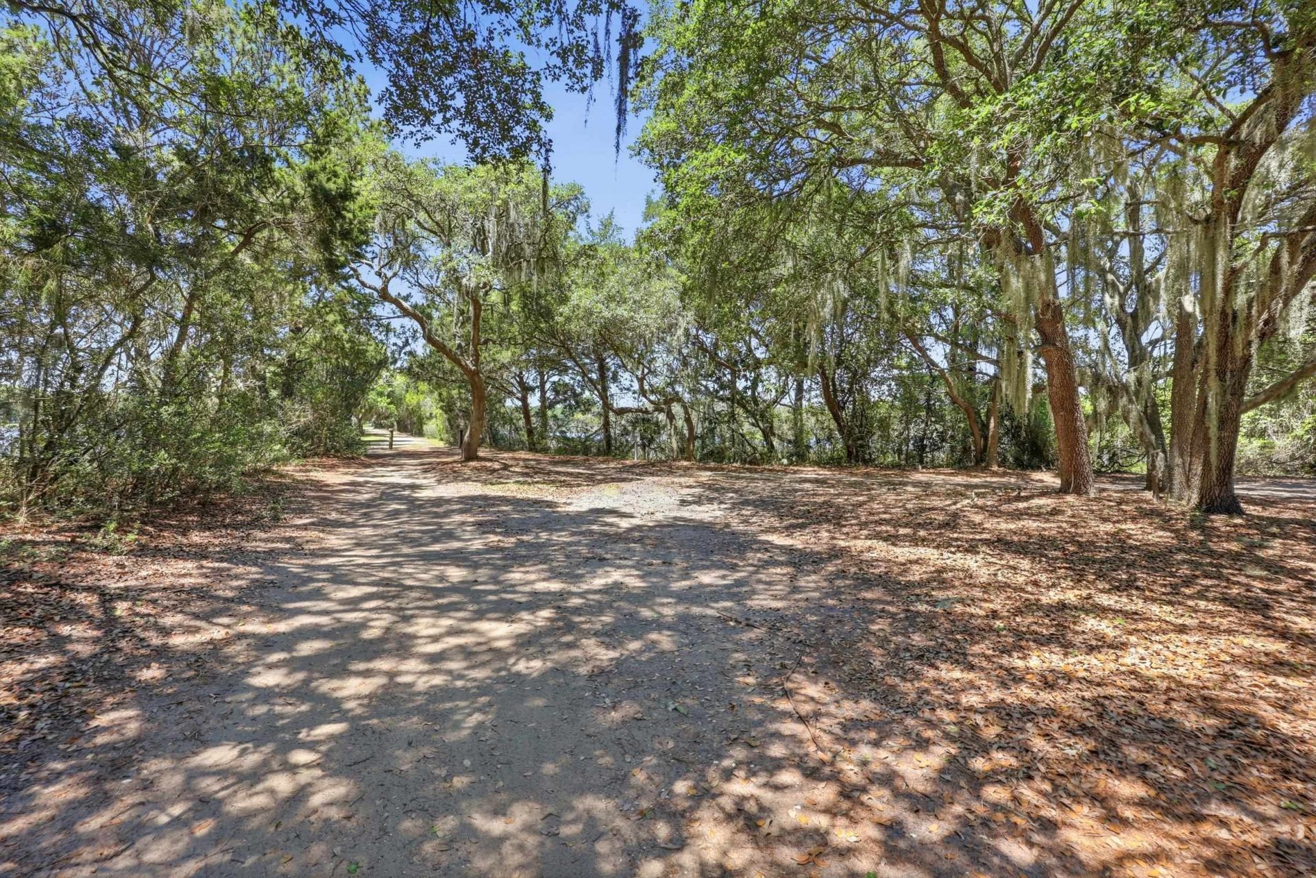 Lot 4 Josie Way  Photo 8