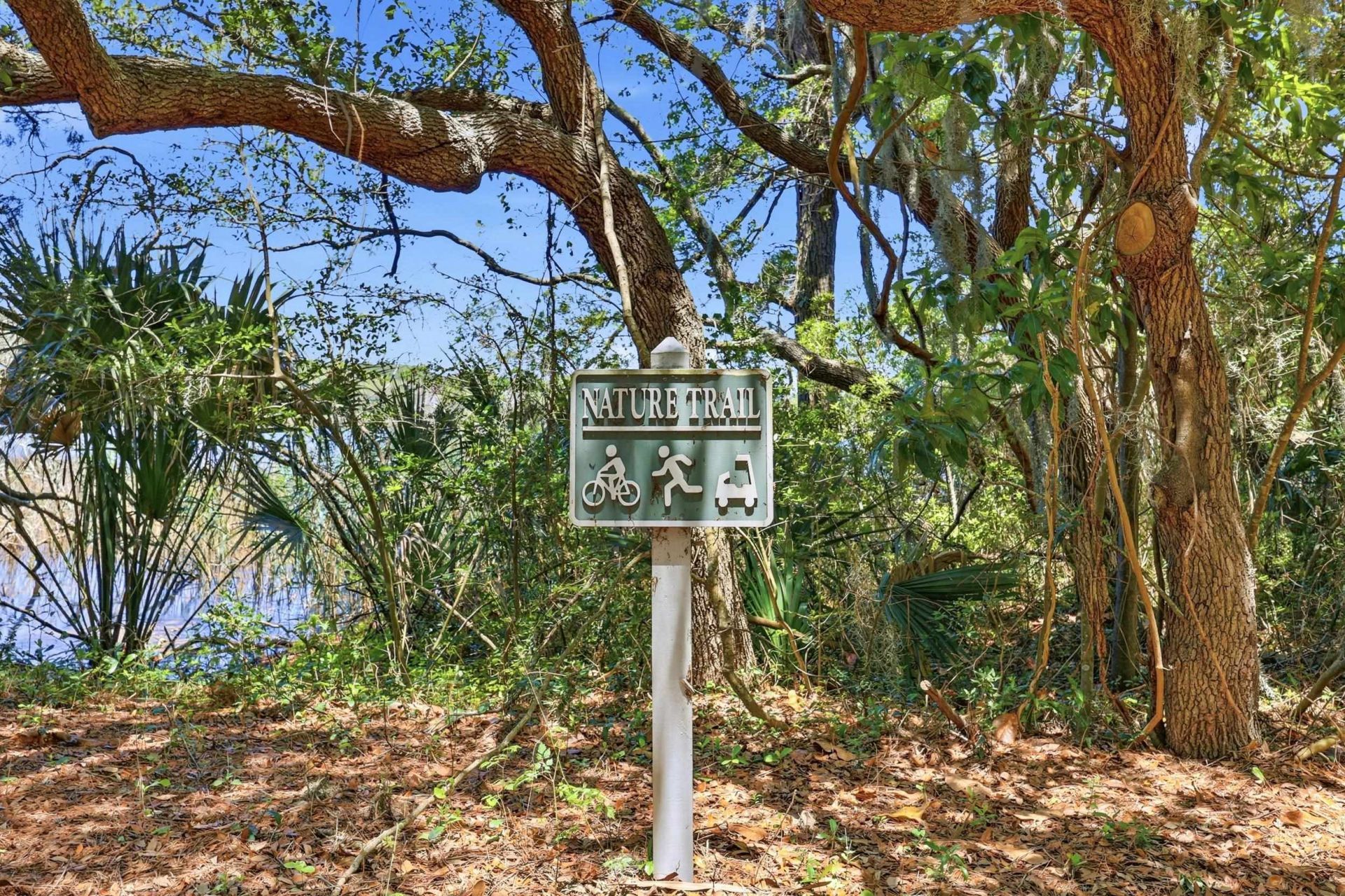 Lot 4 Josie Way  Photo 9