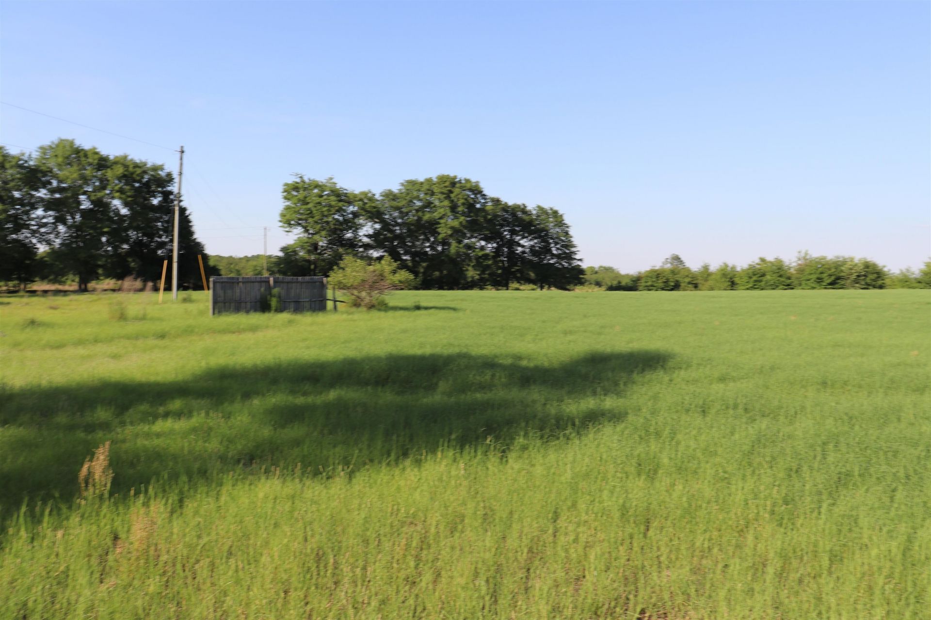 2631 Charlie Johnson Rd  Photo 11