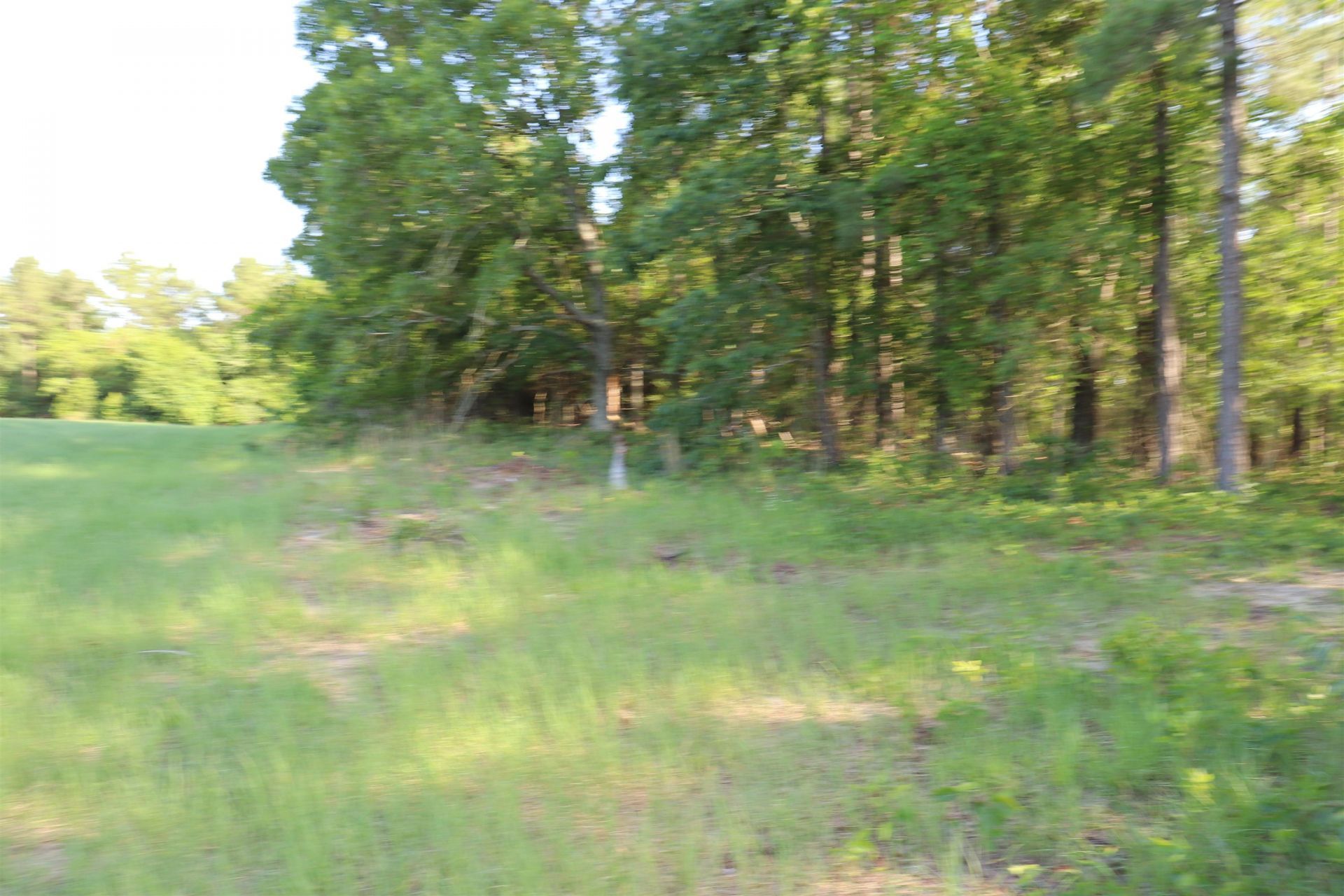 2631 Charlie Johnson Rd  Photo 13